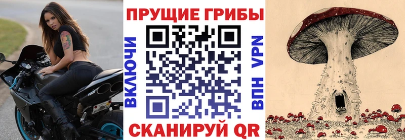 Галлюциногенные грибы MAGIC MUSHROOMS купить кракен ТОР Видное